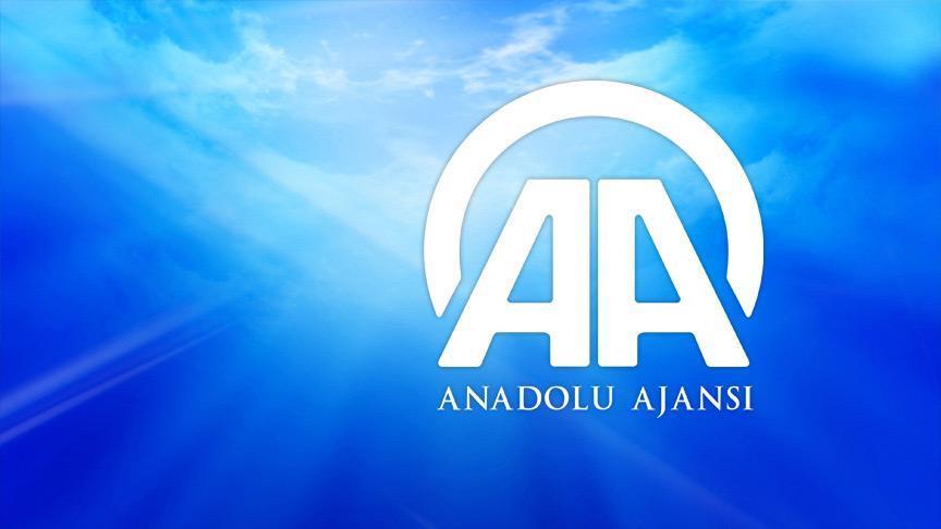 AA muhabirine ödül