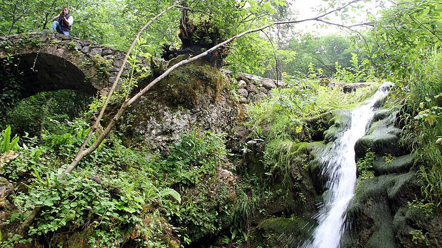 Tabiat parkı sayısı artıyor