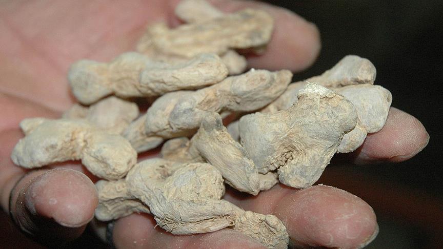 'Dalgınlığa karşı zencefil ve karabiber kokusu'