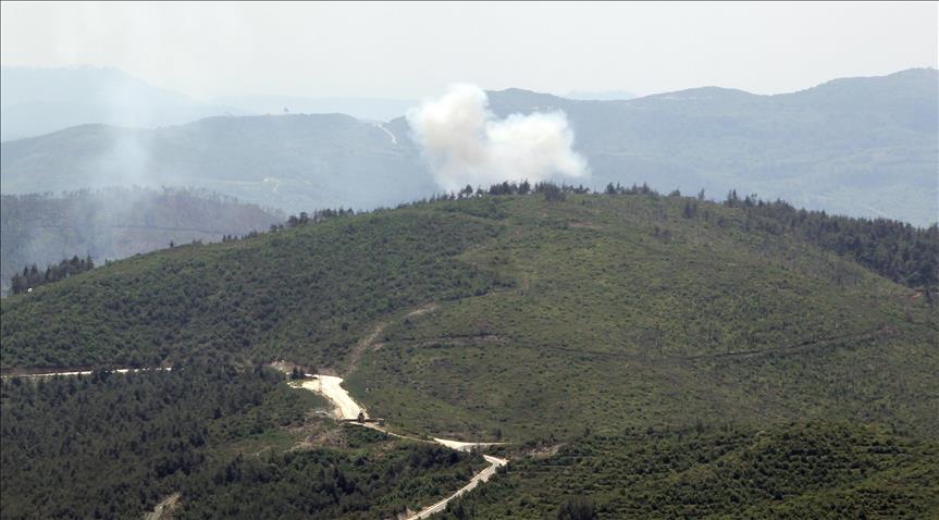 Syria regime offensive in Latakia kills 71 in 10 days