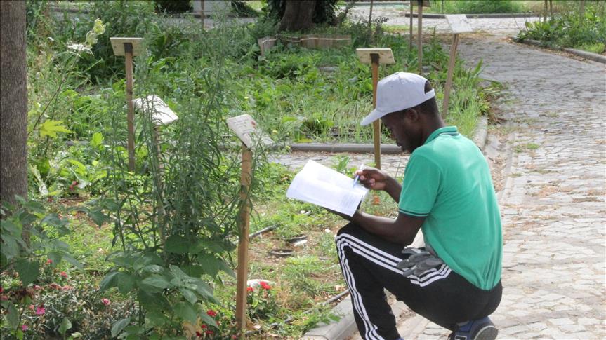 With jobs lacking, Kenyan youths turn to digital farming