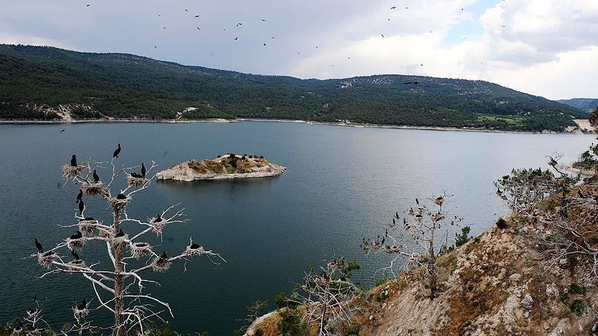 Adıgüzel Barajı kuşlarla cıvıl cıvıl
