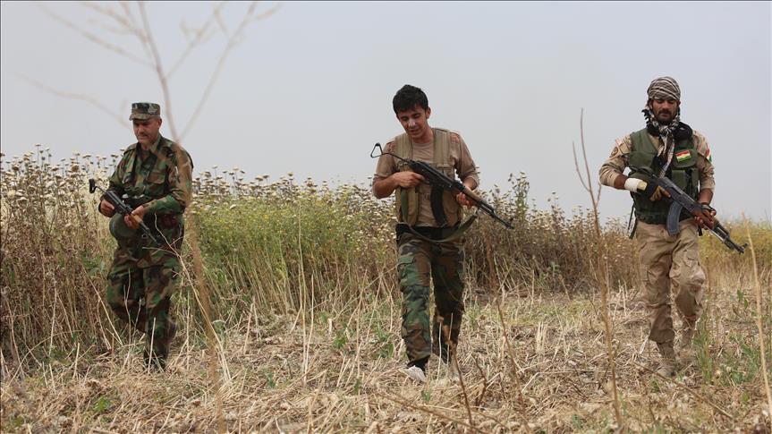 البيشمركة تستعيد 4 قرى من "داعش" شمالي العراق 