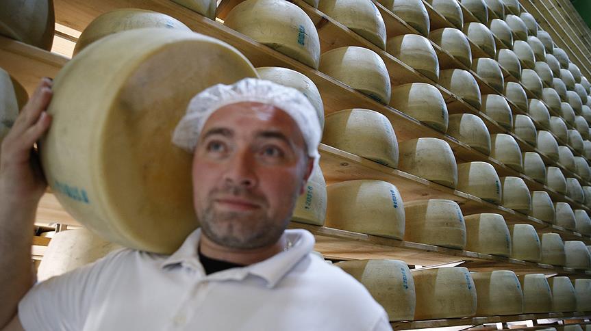 Avrupa'nın ünlü peynirleri Antalya'da üretiliyor