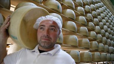 Avrupa'nın ünlü peynirleri Antalya'da üretiliyor