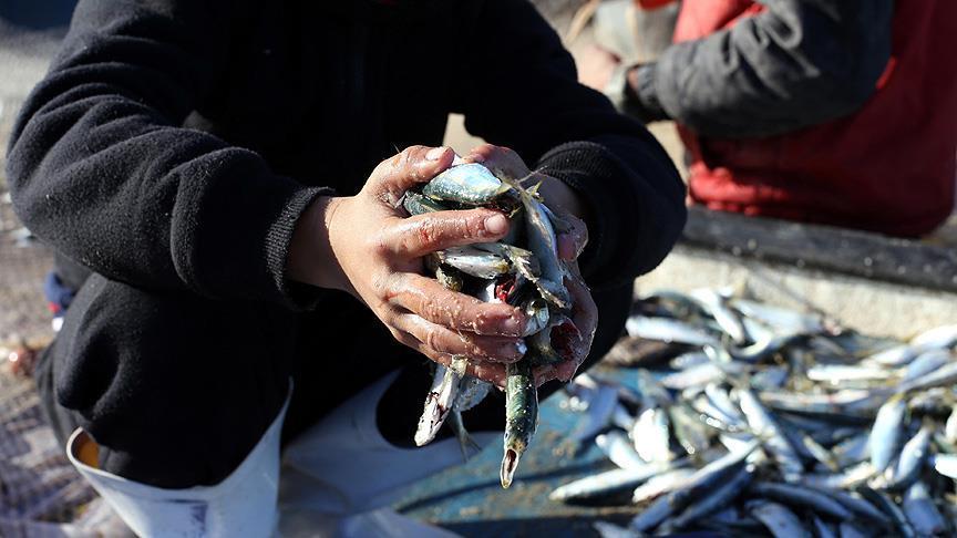 Израиль сузил зону промысла для палестинских рыбаков 