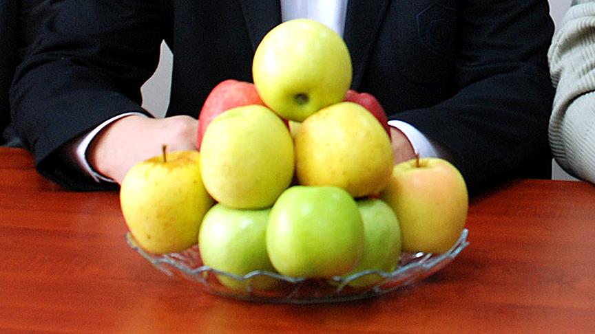 'Bayramiç elması' marka oldu