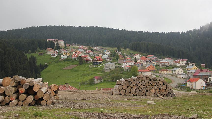Karadeniz yaylalarına ulaşım kolaylaşacak