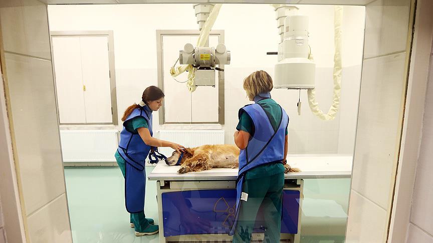 Hayvan Hastanesi yeni klinikleriyle hizmette