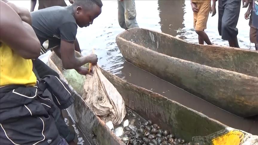 Burundi: Les pêcheurs de Cibitoke se détournent du poisson pour l'Escargot