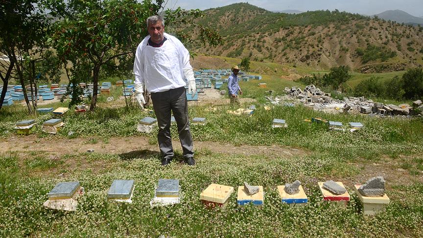 Hizan'da ilk defa 'ana arı' üretiliyor