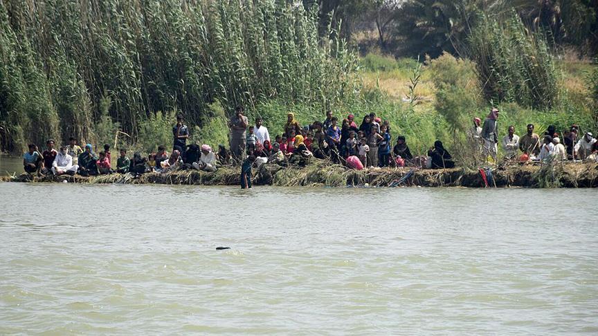Жители иракской Эль-Фаллуджи бегут из зоны боев
