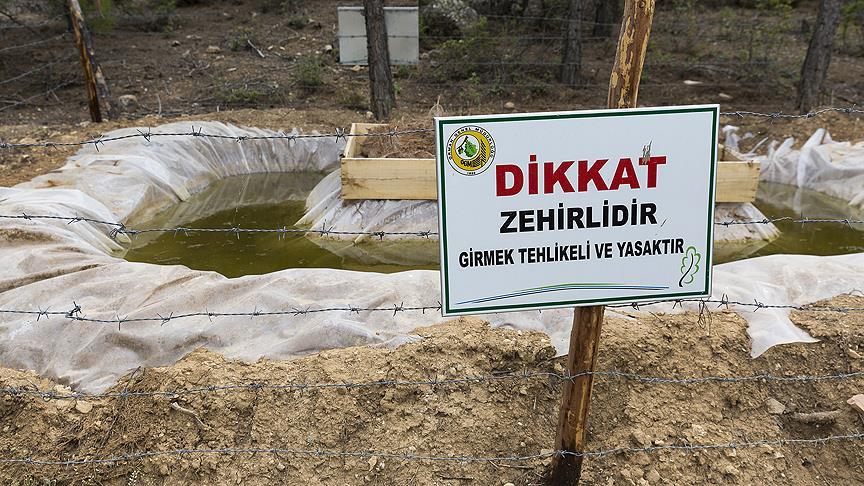 Bu havuzlar, ormanları zararlılardan koruyor