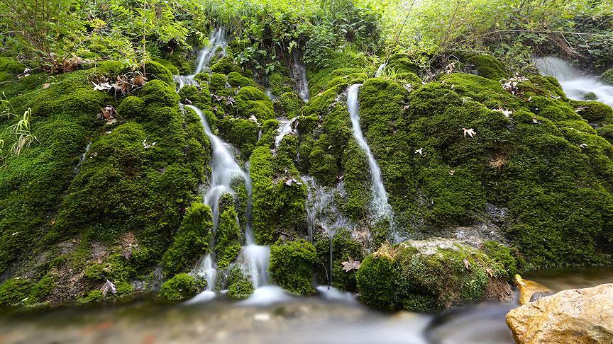 Doğa harikası 'Zeyve Pazarı'