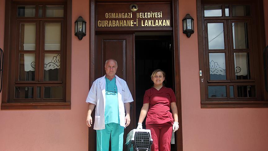 Osmanlı'nın 'leylek hastanesi' şifa dağıtıyor