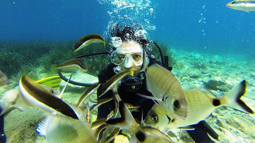 Airbus balıklara yuva oldu