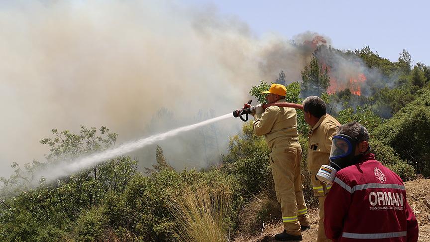 Antalya'daki orman yangınlarına müdahale ediliyor