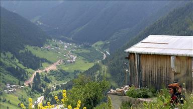 'Lazboard'la ünlenen yayla yazın da ziyaretçilerini bekliyor