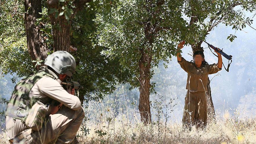 PKK terrorist behind Diyarbakir bomb killed in Turkey