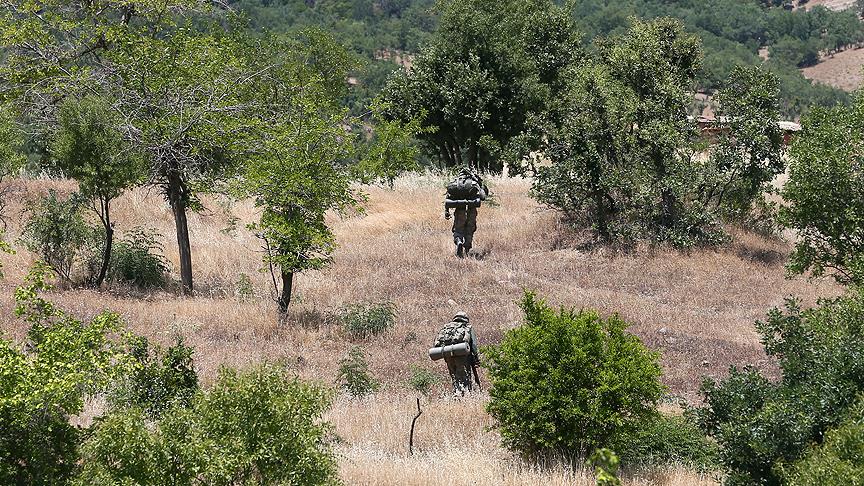 Ankara'da 17 Şubat'ta düzenlenen saldırının faili terörist Lice'de etkisiz hale getirildi
