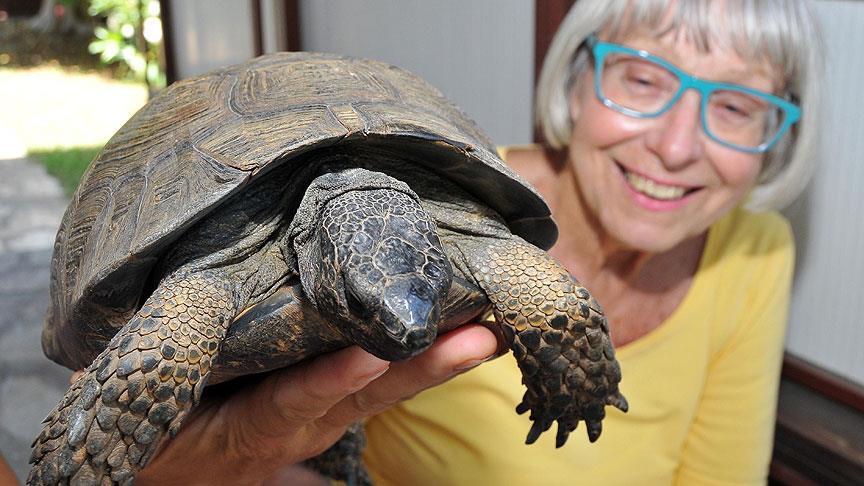 21 yıldır baktığı kaplumbağasından ayrıldı