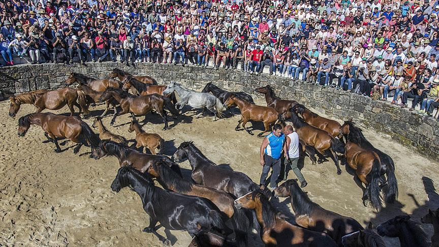 İspanya'da 500 yıllık at güreşi festivali