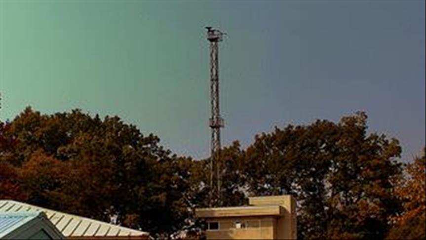 SKorea to intensify border broadcasts