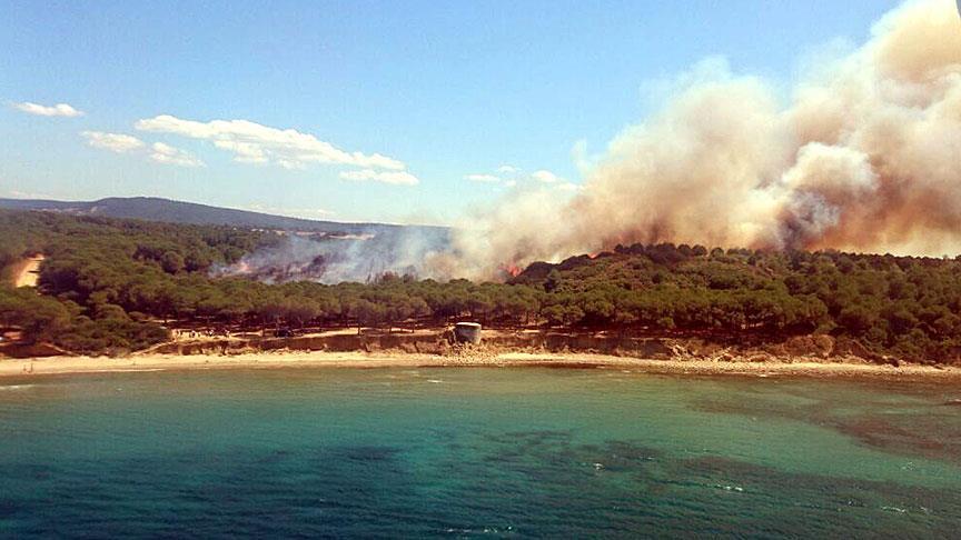Gelibolu Yarımadası'ndaki orman yangını kontrol altına alındı