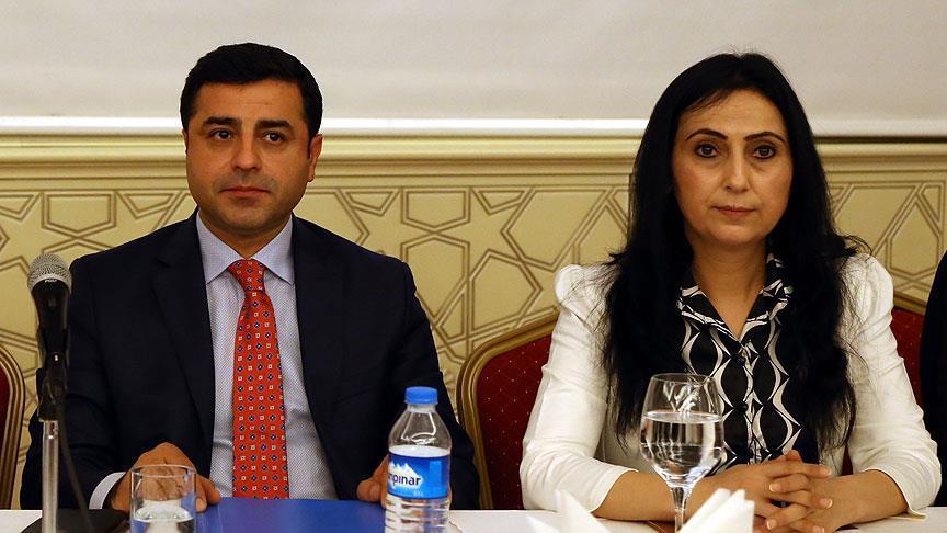 "HDP her türlü darbeye karşıdır"