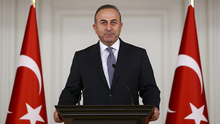 Turkish foreign minister rejects arrest lists claim