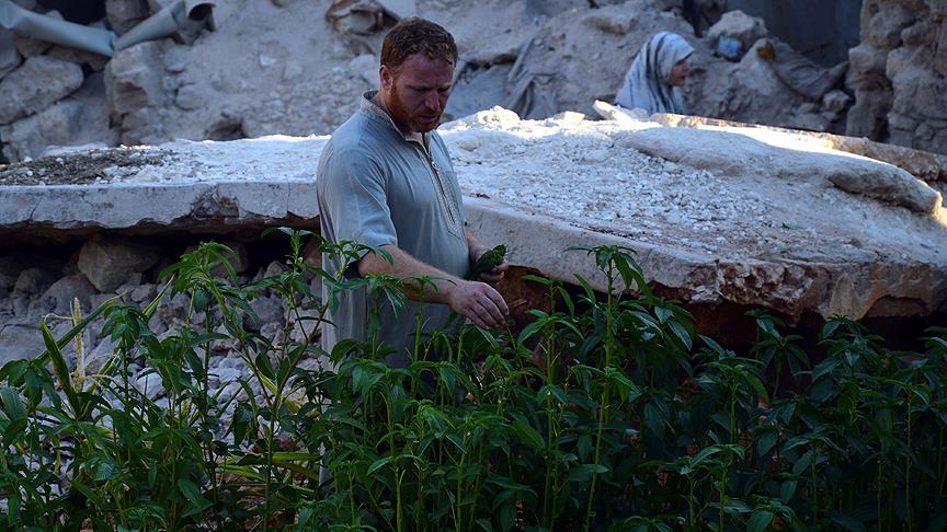 Halep'te 'yıkıntılar arasında' sebze bahçesi