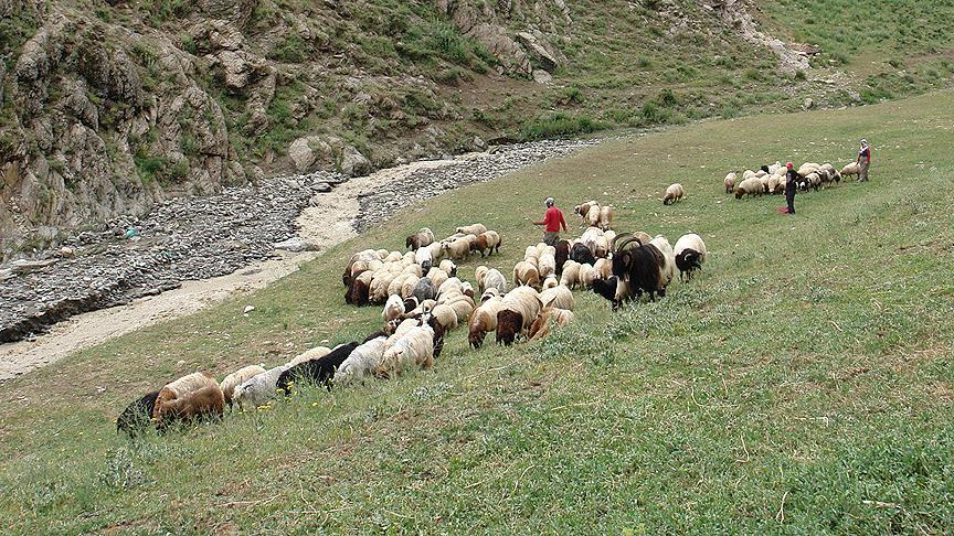 FETÖ'den 'destek primi' sahtekarlığı