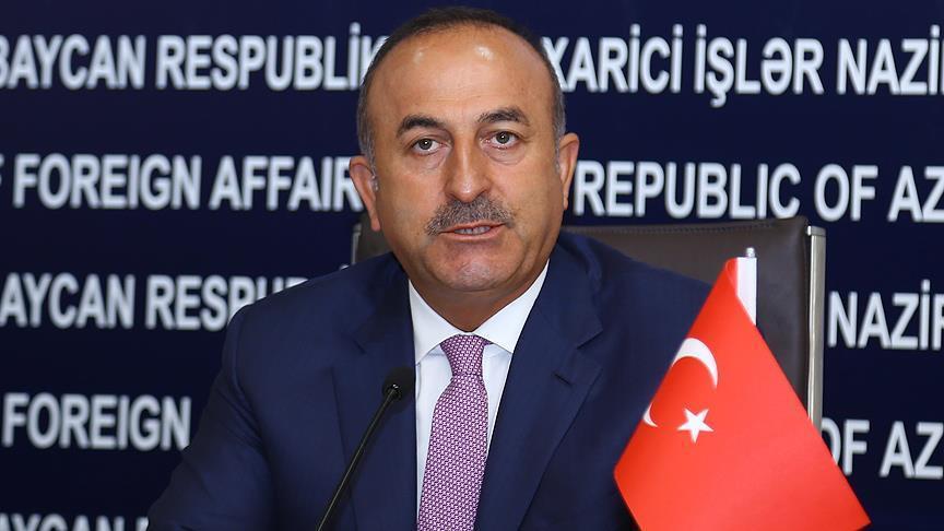 «США должны передать Турции главаря  террористической организации»