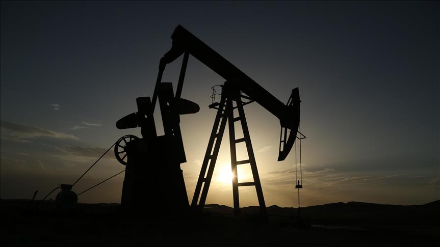 US crude inventories rise for first time in 10 weeks