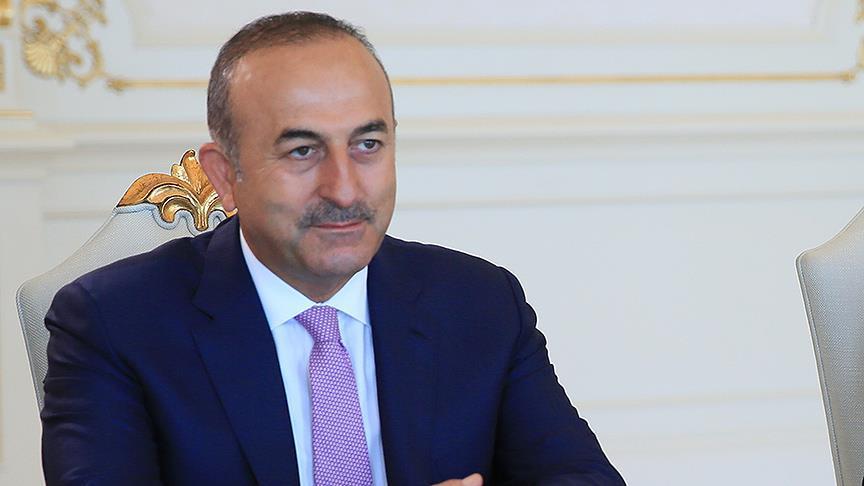 «Анкара ожидает конкретной даты ввода безвизового режима с ЕС»