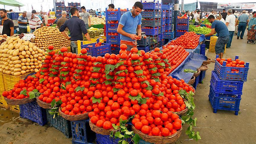 В Турции ждут роста экспорта сельхозпродукции 