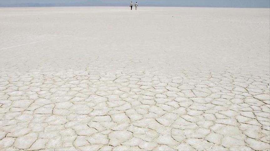 Global warming causing saltier beaches, study says