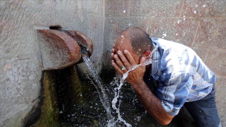زراعة "بتير" الفلسطينية بنظام ري عمره ألفي عام