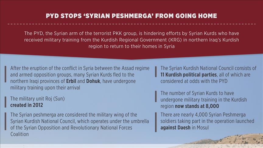 PYD stops ‘Syrian peshmerga’ from going home: Official