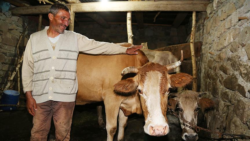 'Fenomen çoban' Cumhurbaşkanı Erdoğan'ı görmek istiyor 