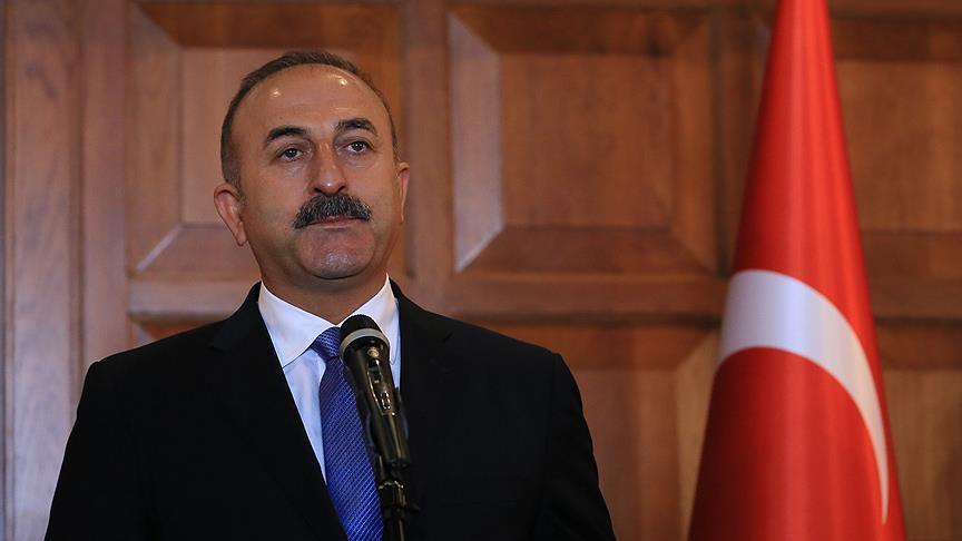 Turkey to wipe out all terror groups: FM Cavusoglu