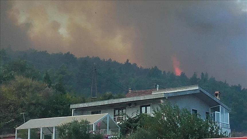 Crna Gora: Požar kod Ulcinja, ugrožene kuće 