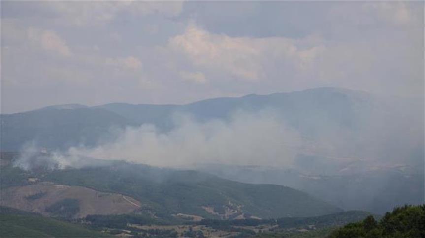 Trebinje: Požar na Leotaru aktivan, ne prijeti kućama