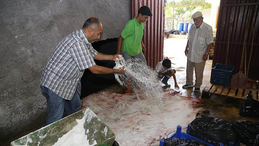 Kurban derileri için tuzlama uyarısı