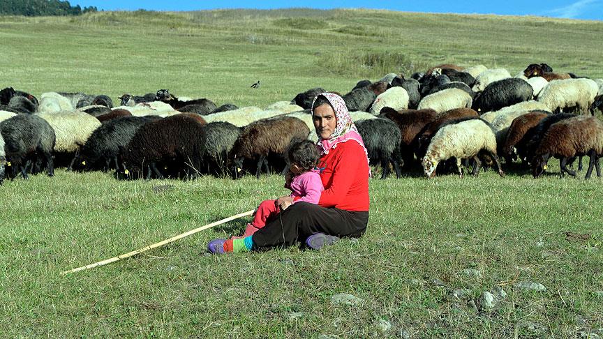 Bir keçileri bile yokken şimdi 40 koyunları var