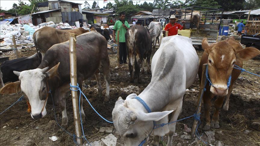 Indonesians prepare to welcome Eid al-Adha