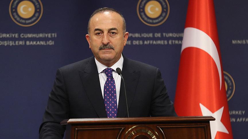 Turkish FM urges US to arrest Gulen