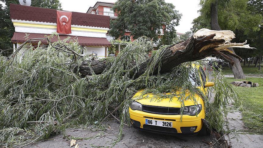 Ankara'da şiddetli rüzgar maddi hasara yol açtı