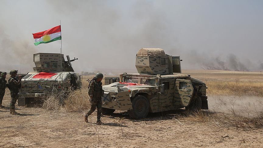 US-led alliance arms 2 peshmerga brigades: KRG official