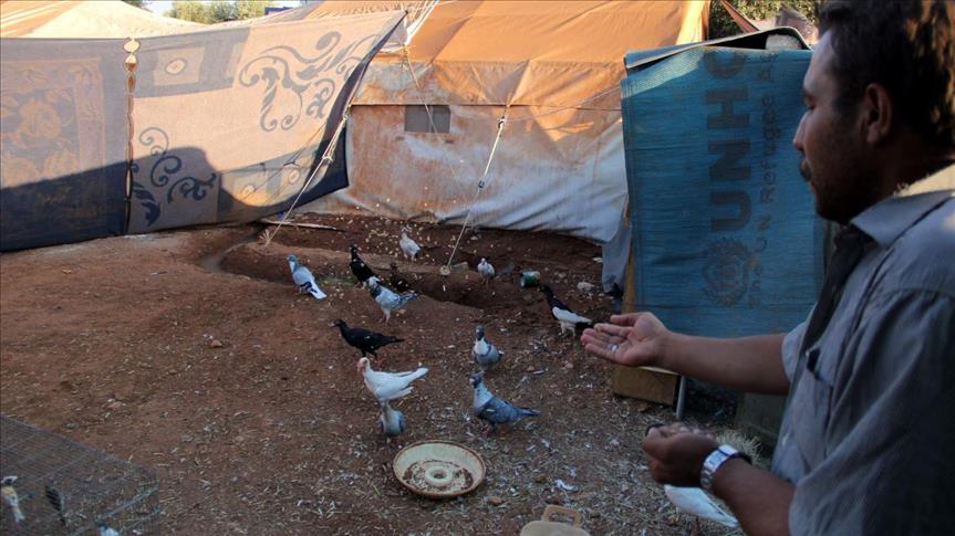 سوري يواجه انفجار القنابل بـ"الزقزقة"